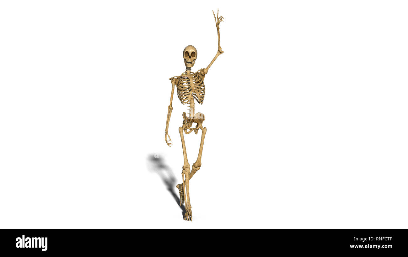 Lo scheletro di divertenti sorridente e mostrando segno di vittoria, passeggiate scheletro umano isolato su sfondo bianco, rendering 3D Foto Stock