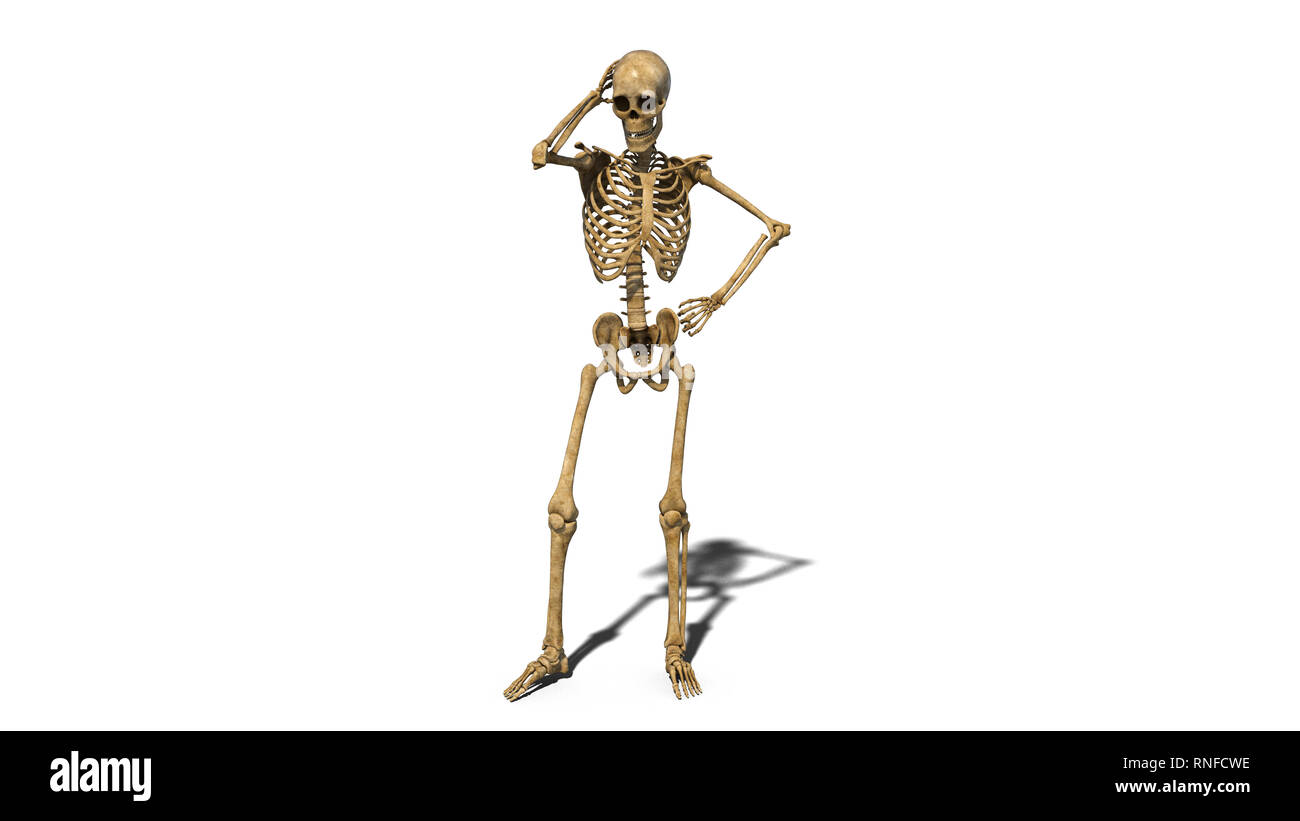 Preoccupati pensando a scheletro, scheletro umano isolato su sfondo bianco, rendering 3D Foto Stock