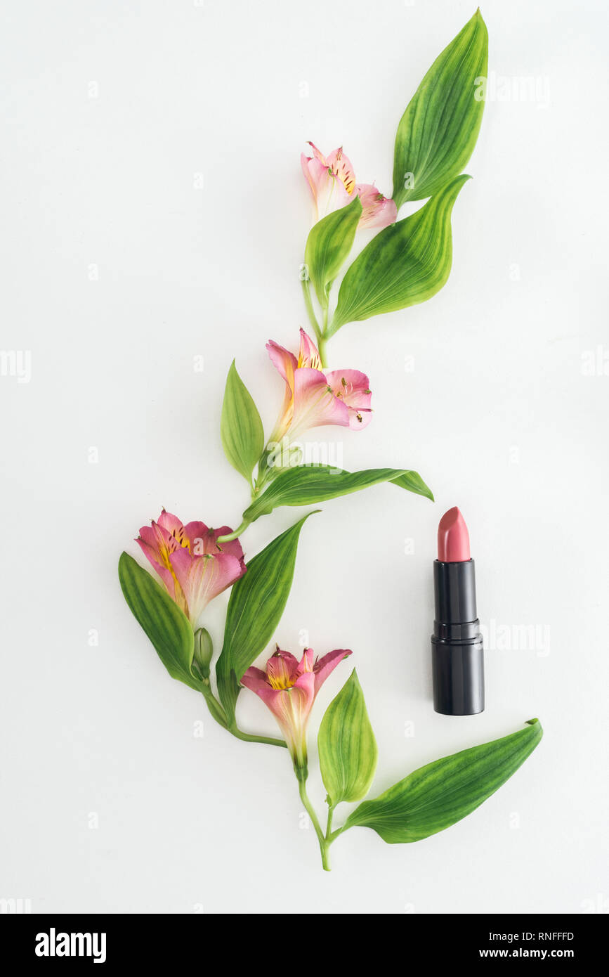 Vista superiore della composizione con fiori di colore rosa, foglie verdi e il rossetto su sfondo bianco Foto Stock