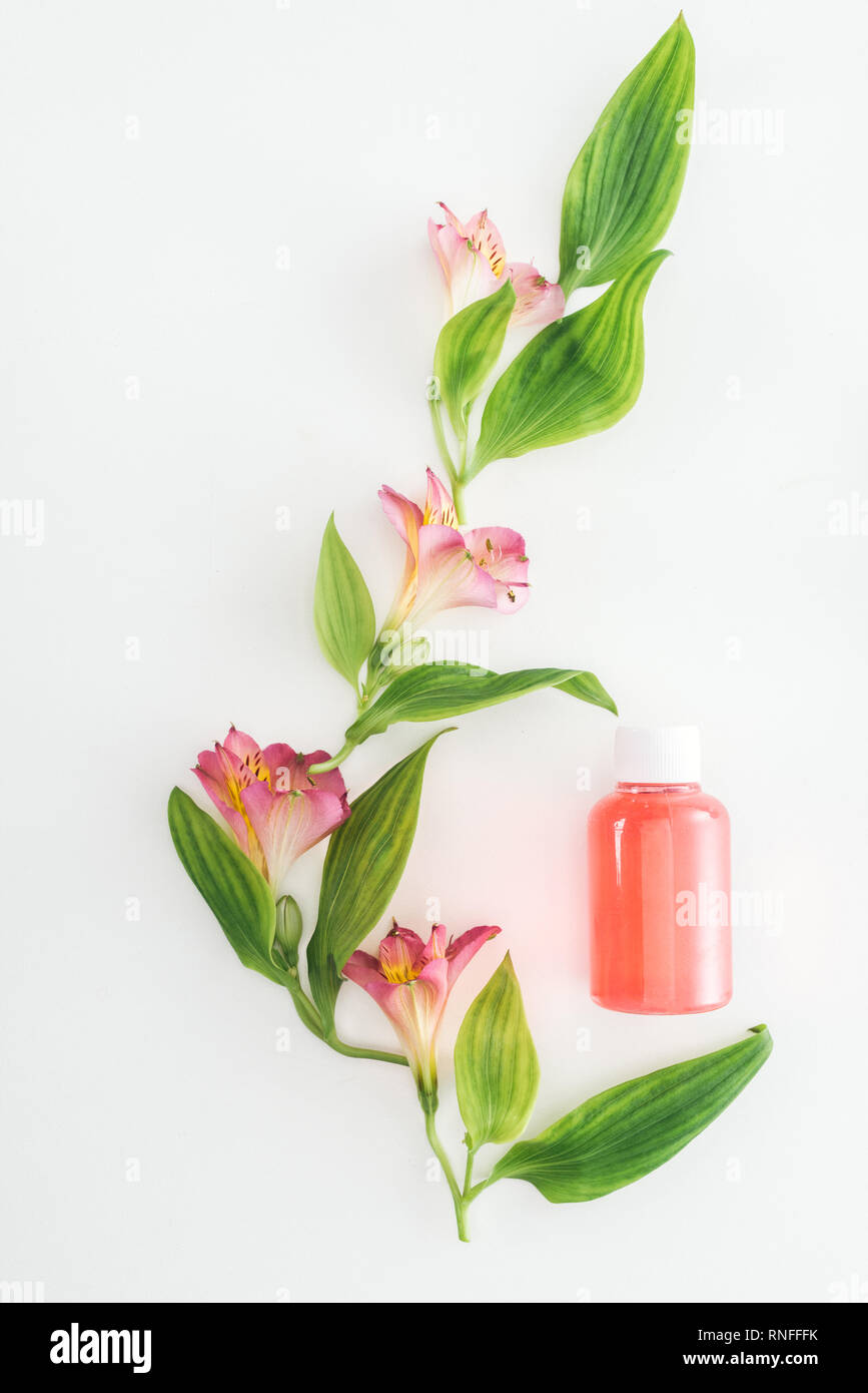 Vista superiore della composizione con alstroemeria rosa fiori, foglie verdi e una bottiglia di lozione di colore arancione su sfondo bianco Foto Stock