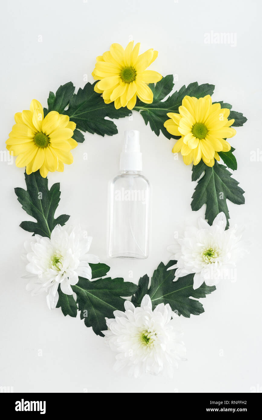 Vista dall'alto di svuotare la bottiglia spray con il bianco e il giallo crisantemi su sfondo bianco Foto Stock