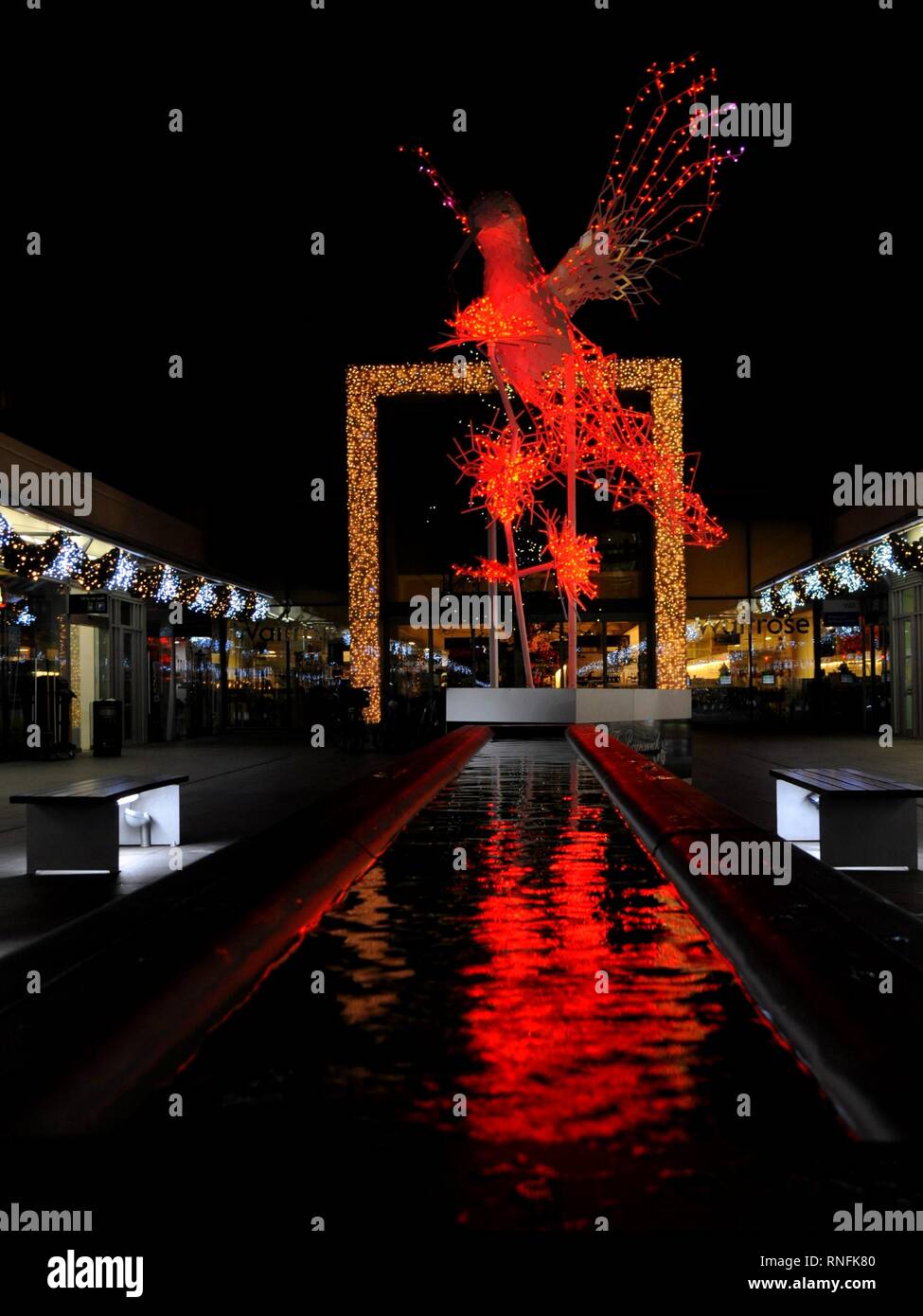 2018 Le luci di Natale presso il centro di Brunswick, Bloomsbury, Londra, Regno Unito. Foto Stock