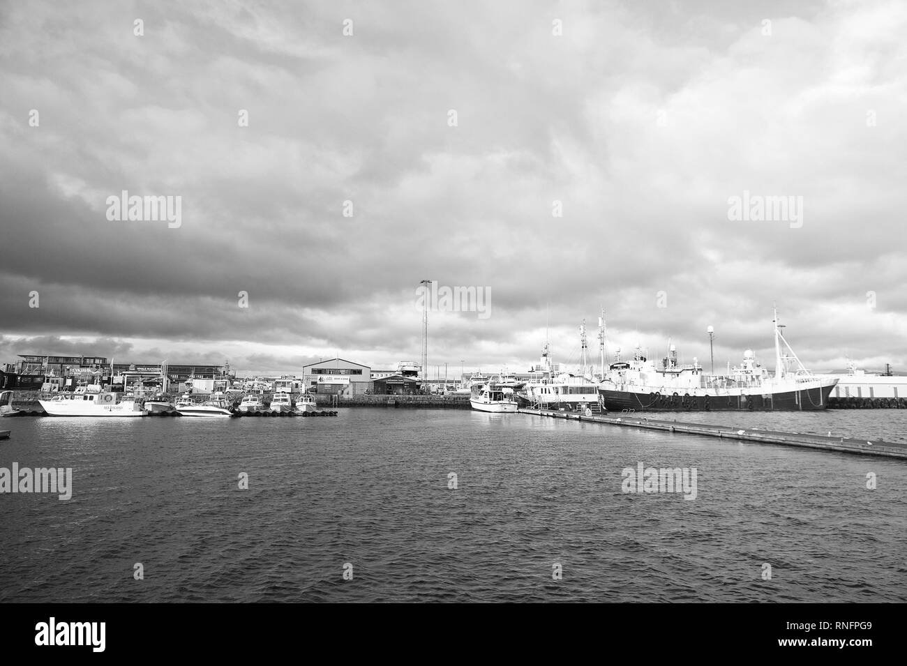 Reykjavik, Islanda - 13 Ottobre 2017: le navi nel porto di mare. Le navi da passeggeri con il viaggio più lungo nel porto di mare. Mare blu acqua sotto il cielo nuvoloso. Pronti per un viaggio. Foto Stock