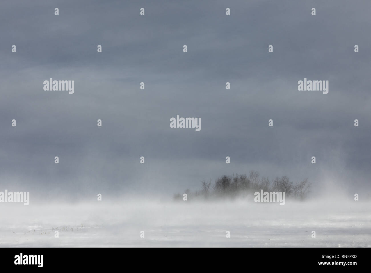 Il blizzard di superficie, sub-zero wind brividi, nello Stato di New York, Stati Uniti d'America. Foto Stock