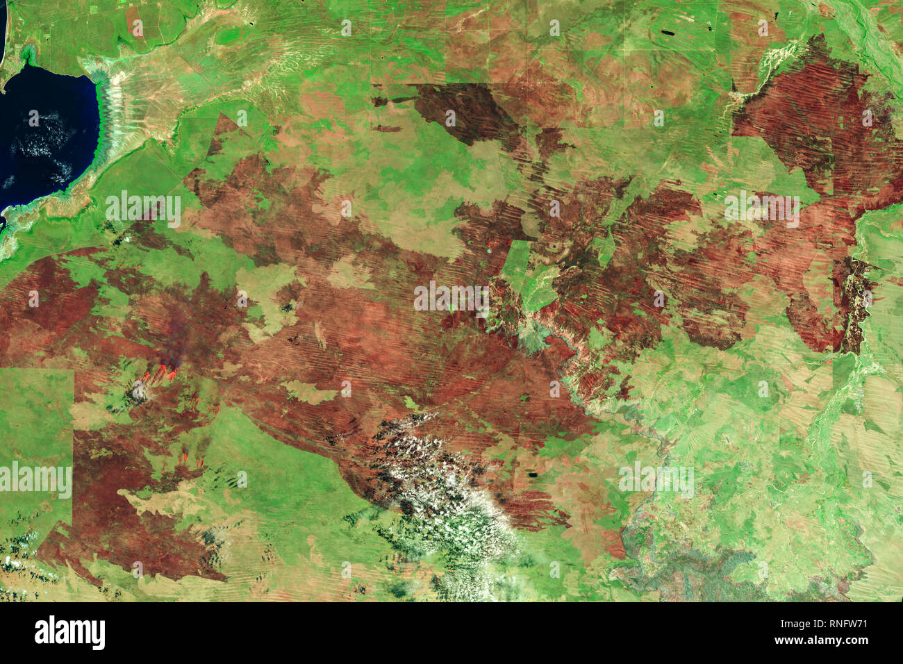 Un incendio in Western Australia ha bruciato almeno 2 milioni di ettari di terreni rurali-un'area di sei volte la dimensione di Los Angeles. La fiammata, circa 120 kilomete Foto Stock