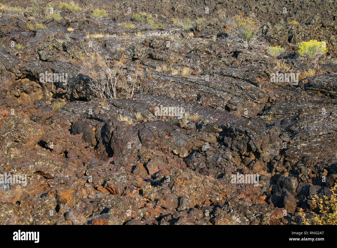 Il flusso di lava nel campo crateri della luna monumento nazionale, Idaho, Stati Uniti d'America. Il monumento rappresenta uno dei meglio preservati flood zone di basalto nel cont Foto Stock