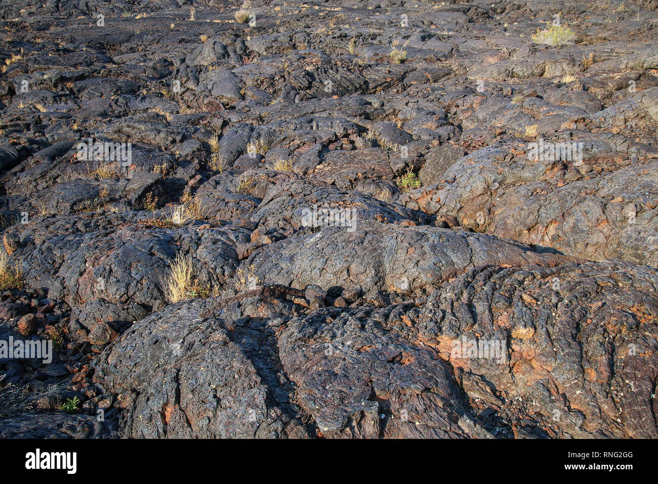 Il flusso di lava nel campo crateri della luna monumento nazionale, Idaho, Stati Uniti d'America. Il monumento rappresenta uno dei meglio preservati flood zone di basalto nel cont Foto Stock