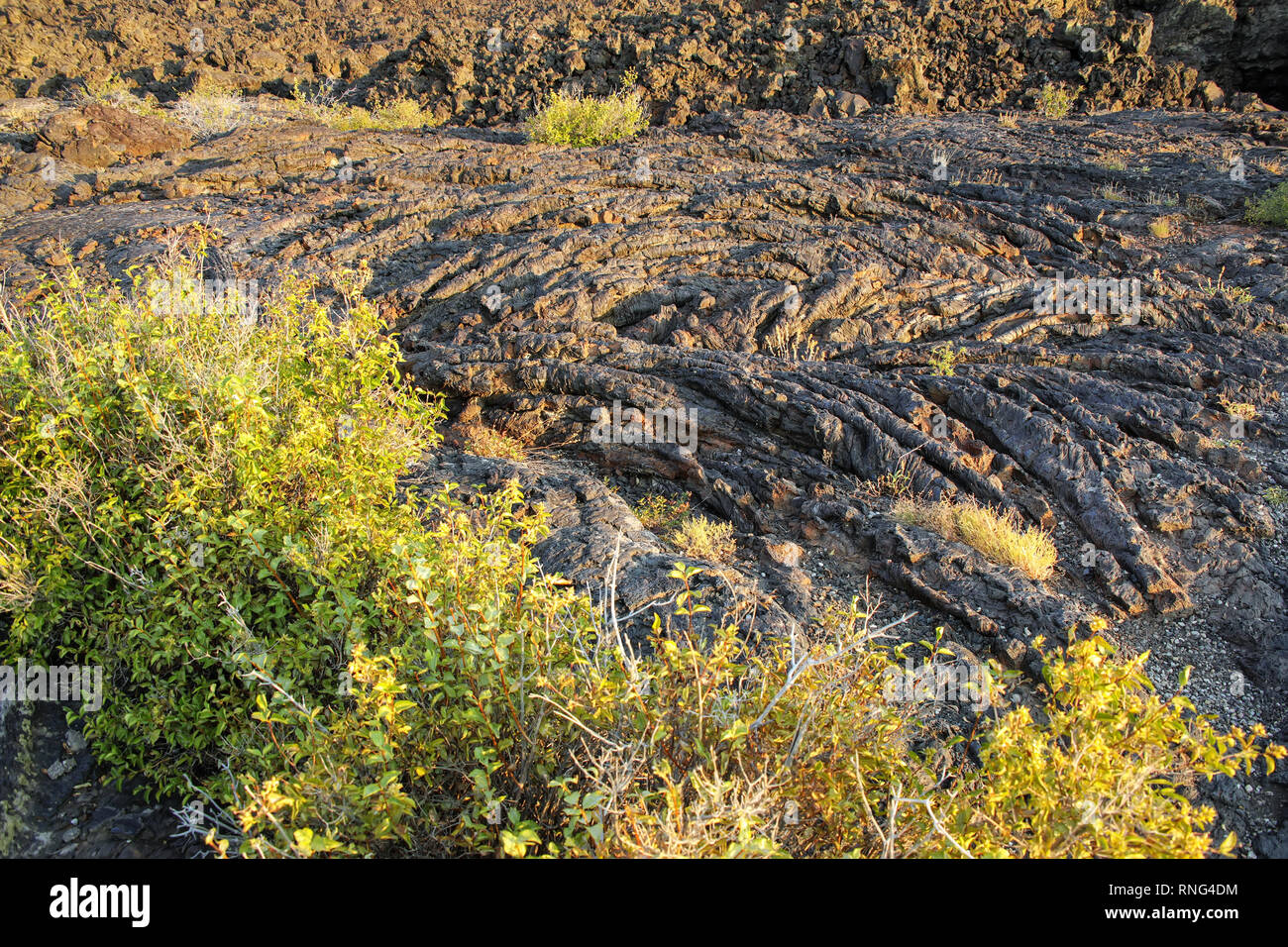Il flusso di lava campo al Cratere Nord Sentiero di flusso, i crateri della luna monumento nazionale, Idaho, Stati Uniti d'America. Foto Stock