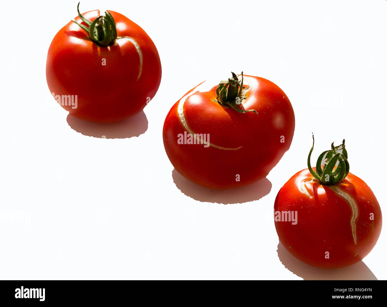 3 pomodori rossi su sfondo bianco Foto Stock