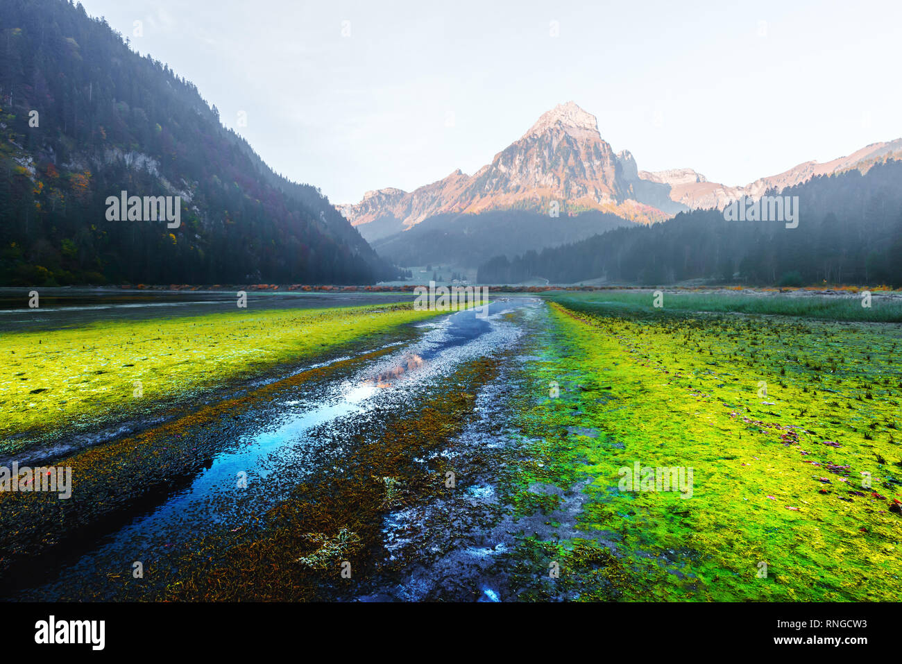 Molla di pittoresca vista sul lago Obersee nelle Alpi Svizzere. Villaggio Nafels, Svizzera. Fotografia di paesaggi Foto Stock