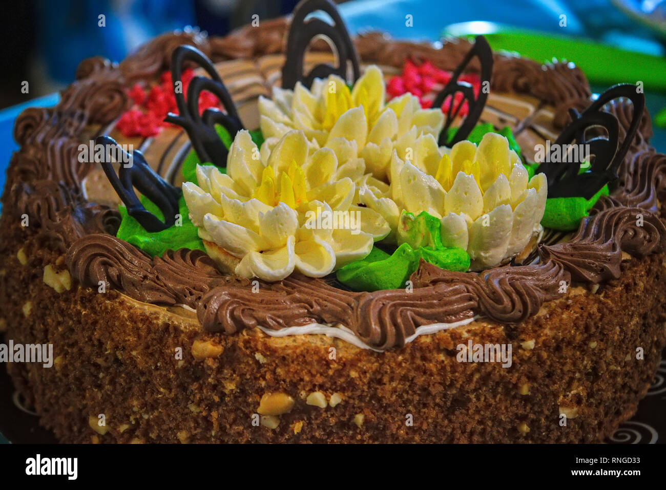 Festa del cioccolato cremoso pan di spagna su un piatto di close-up Foto Stock