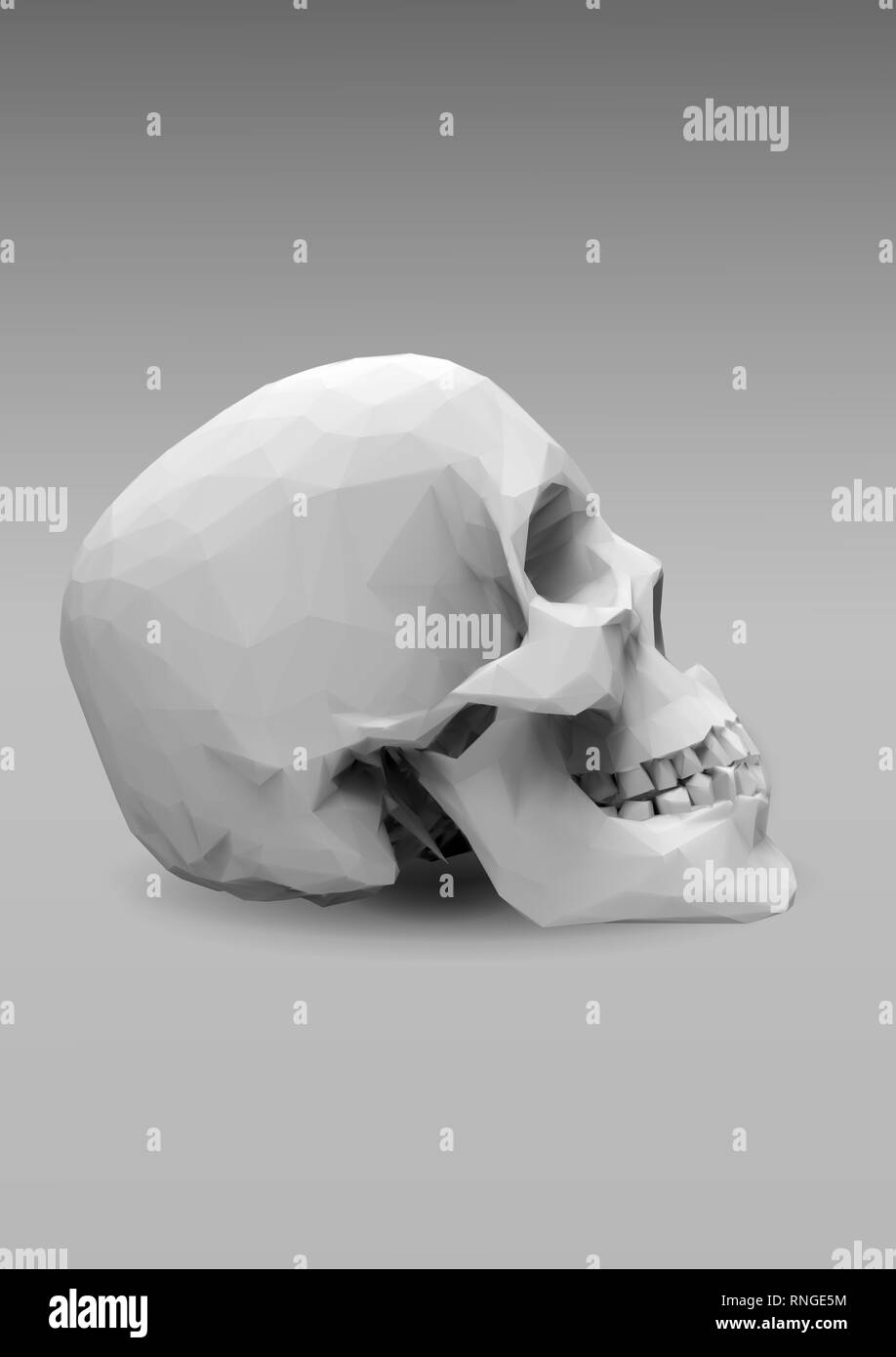 Bassa poli cranio vettore vista laterale in 3D rendering realistico cercare Foto Stock