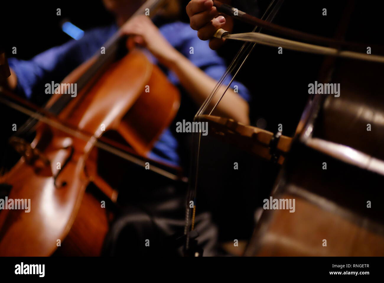 Contrabbasso e violoncello essendo piegato in primo piano in concerto senza facce essendo mostrato Foto Stock