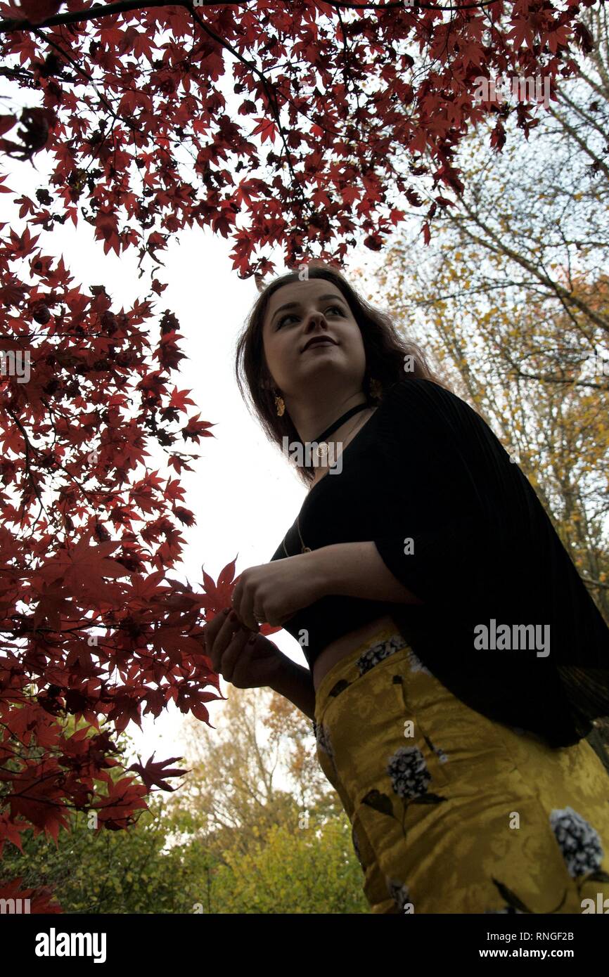 Cerca fino a capelli lunghi, brunette caucasian lady giallo che indossa pantaloni a motivi geometrici e lunghe maniche nere. Lei si trova in un bosco d'autunno beneat Foto Stock