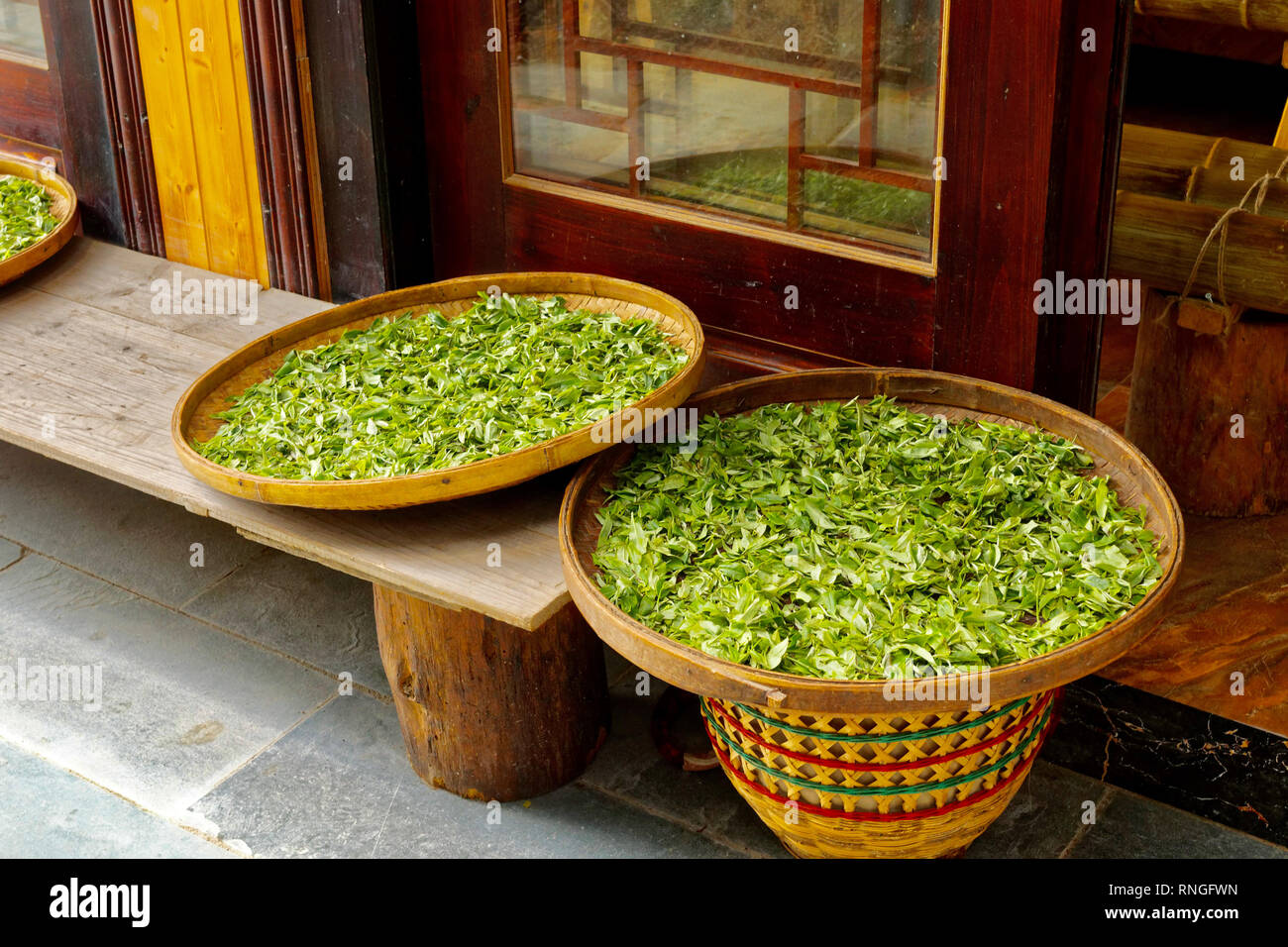 Tè cinese, essiccamento in tegami di bambù Foto Stock