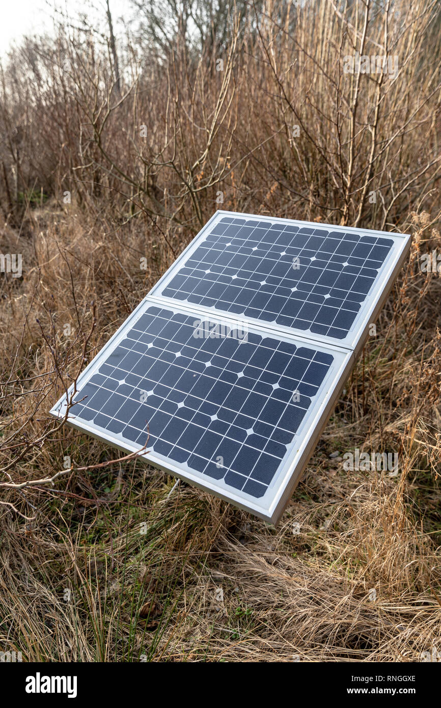 Pannello solare tra alberi ed erba, inverno Foto Stock