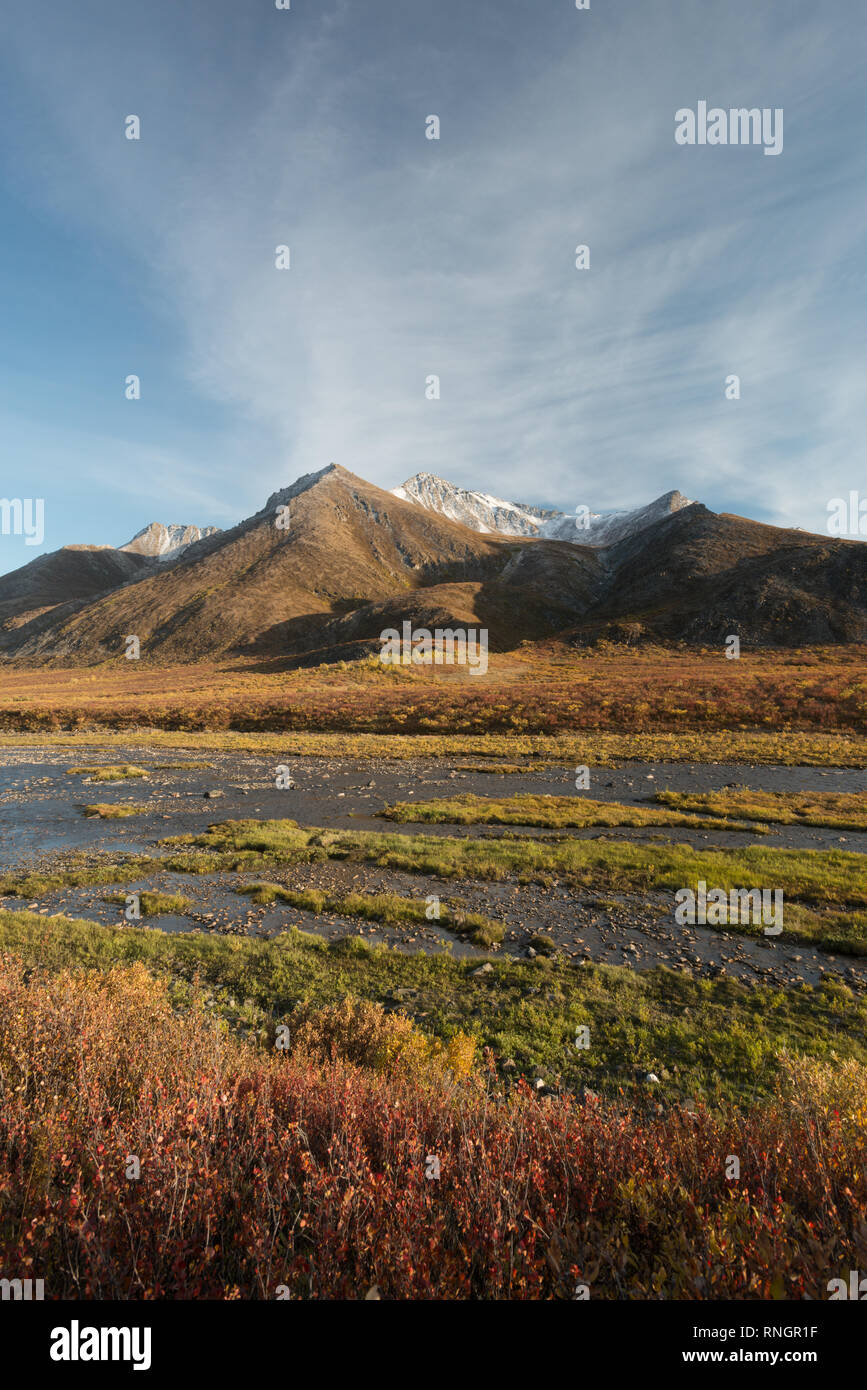Escursionismo accanto al fiume Blackstone su Dempster Highway in autunno (autunno), Yukon Territory, Canada Foto Stock