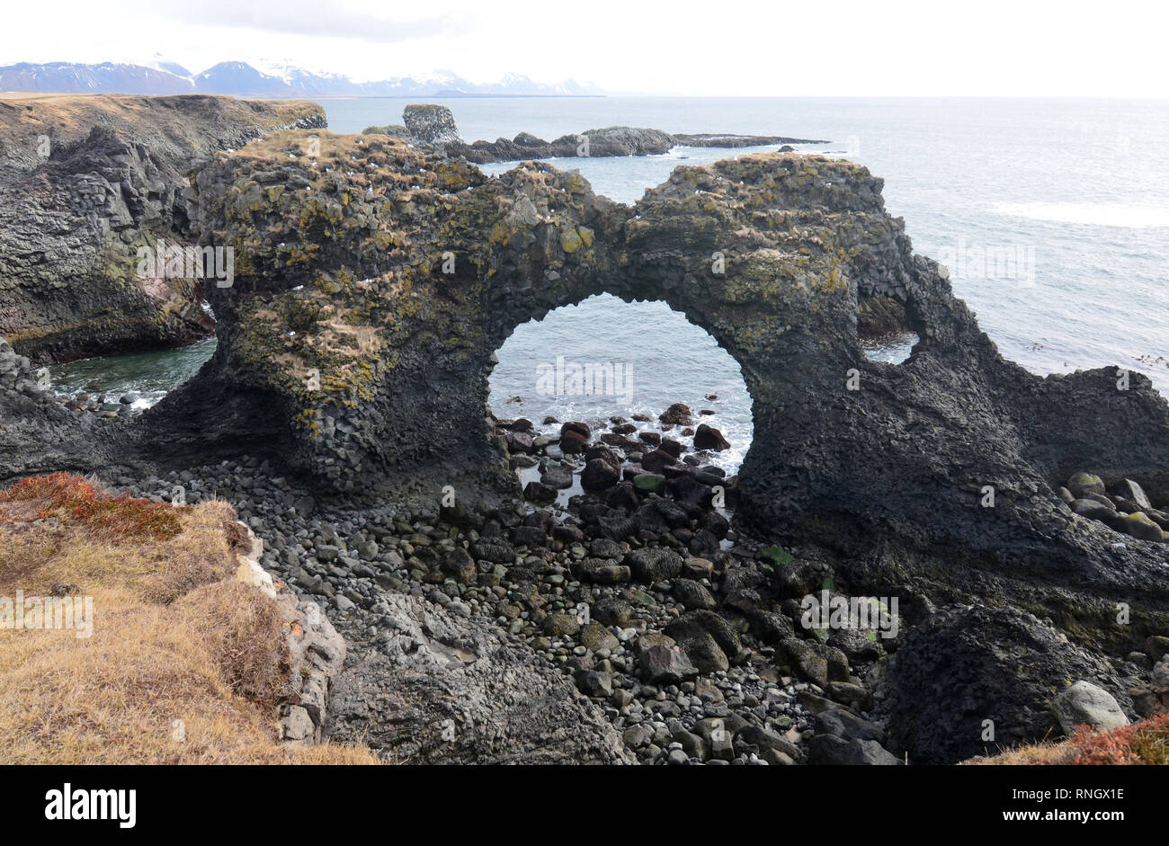 Bella robusto lava costiere formazione rocciosa sulla costa dell'Islanda. Foto Stock