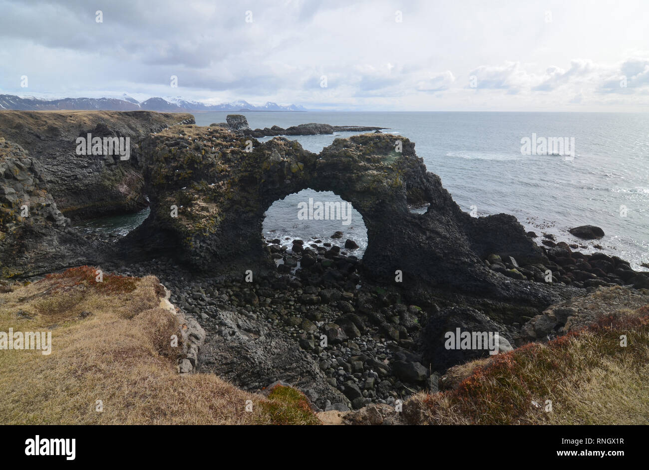 Interessante la lava a forma di formazioni rocciose in Arnarstapi in Islanda. Foto Stock