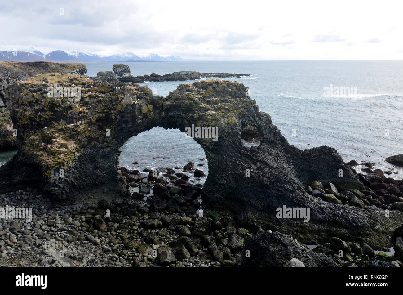Bella roccia lavica con formazione di archi lungo la costa dell'Islanda. Foto Stock