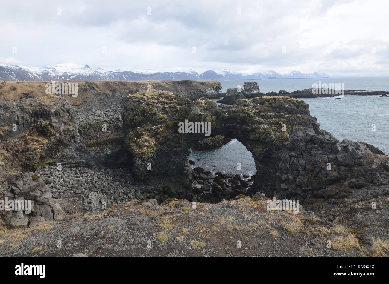Lava uniche formazioni rocciose compongono il robusto rock costa dell'Islanda. Foto Stock