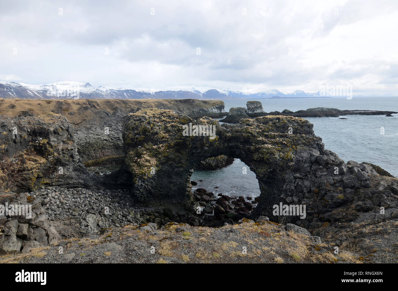 Bella iconico arch rock lungo la costa di Arnarstapi Islanda. Foto Stock