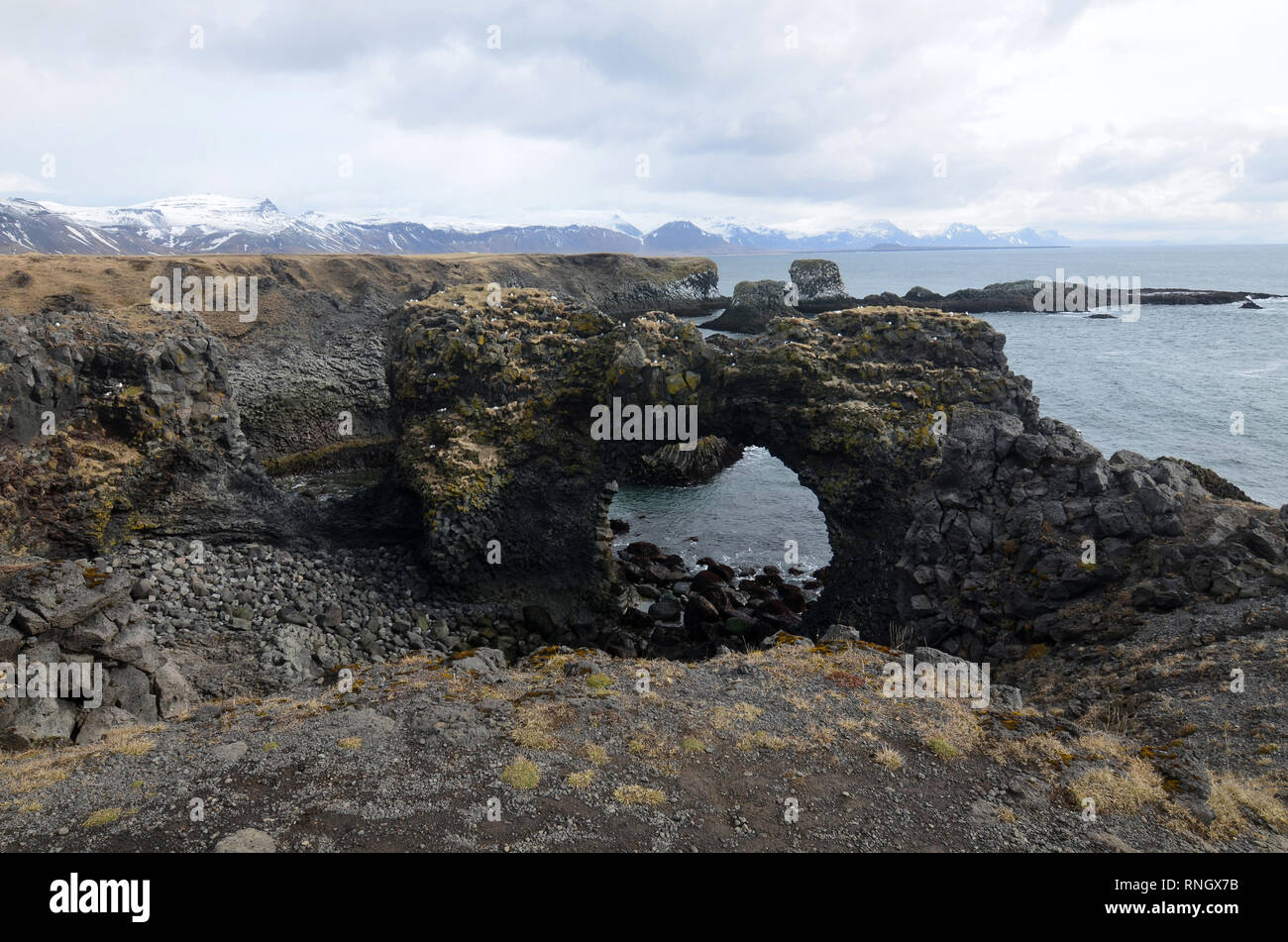 Bellissimo paesaggio marino e il paesaggio sul robusto rurale Icelandic Coast. Foto Stock