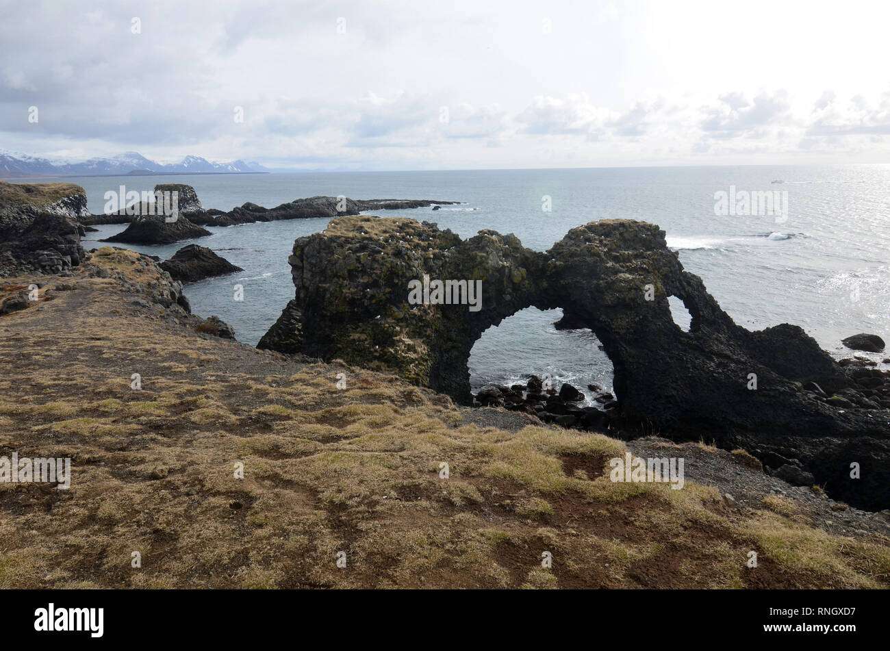 Fantastico sagomate ad arco rock situato lungo la costa di Arnarstapi Islanda. Foto Stock