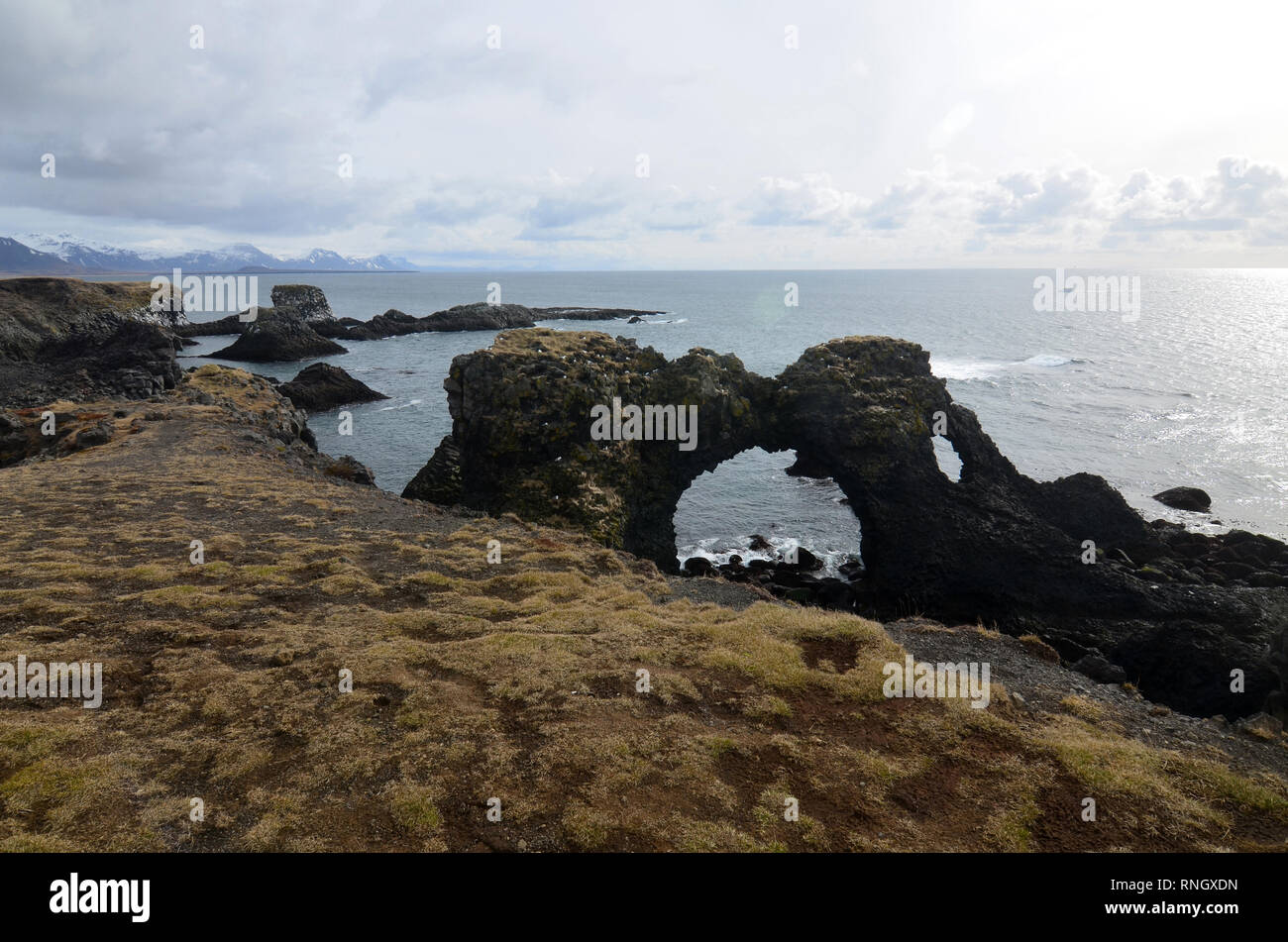 Bella islandese mozzafiato arch rock trovati sulla costa di Islanda. Foto Stock