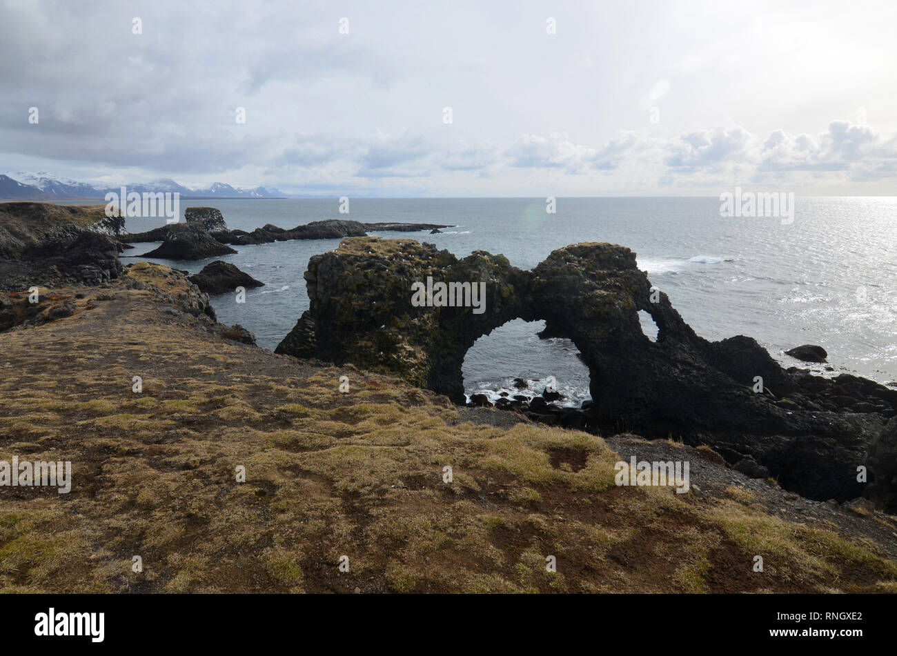 Bella wild roccia lavica formazione lungo la costa dell'Islanda. Foto Stock