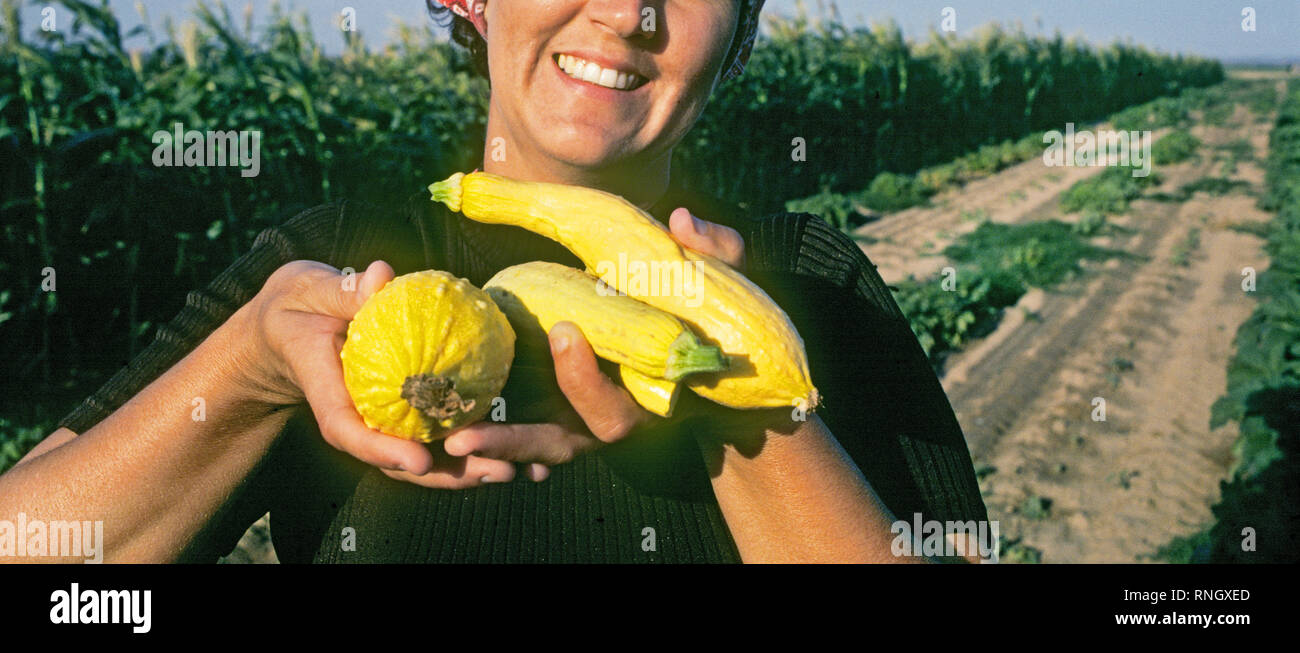 Un agriturismo donna contiene diversi giallo crookneck squash che lei ha appena prelevato dal suo campo nel sud del Nuovo Messico. Foto Stock