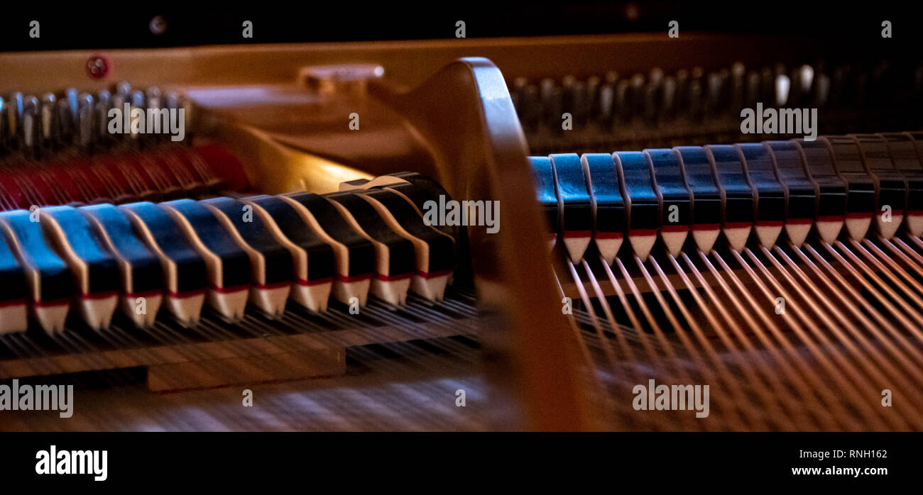 Interno di un pianoforte a coda, arpa, stringhe, ammortizzatori Foto Stock