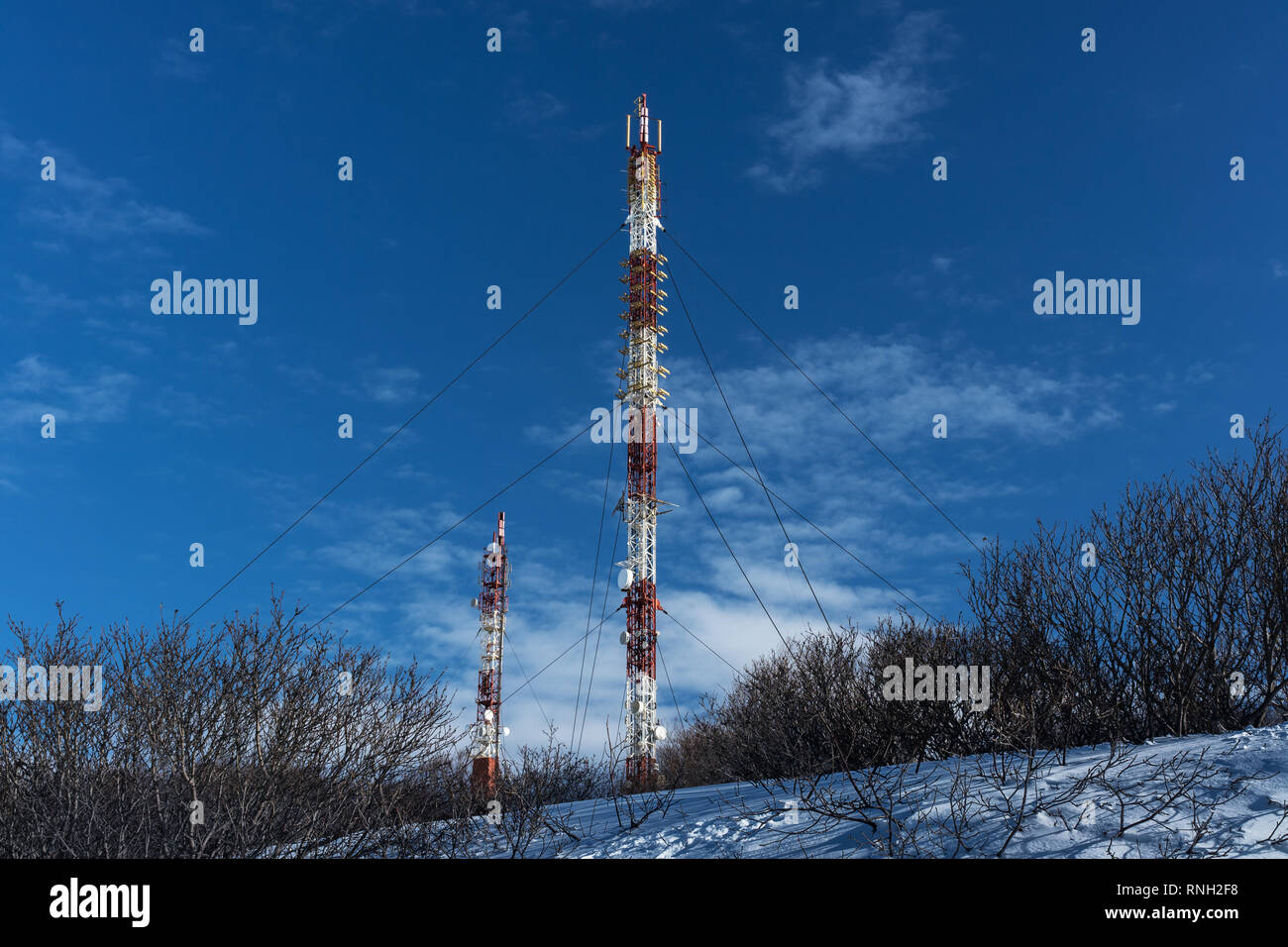 La torre delle comunicazioni con le antenne wireless canali di comunicazione quali il telefono cellulare, la torre la torre cellulare, telefono polo, circondato da alberi in inverno Foto Stock