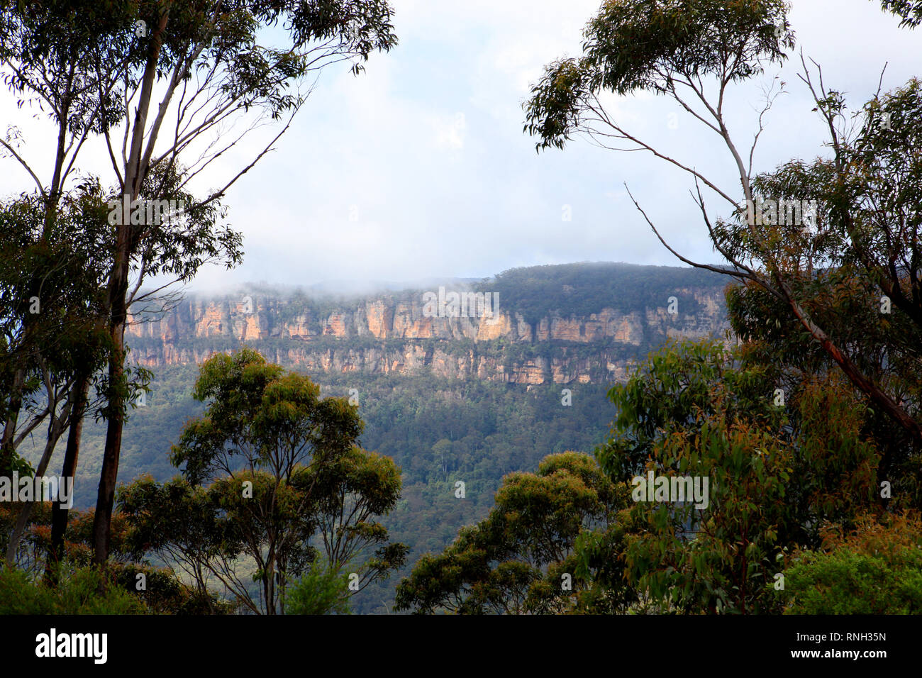 Visitare l'Australia. Scenic e paesaggi di Australia. Il Blue Mountains sono una regione montagnosa e una gamma di montagna situato nel Nuovo Galles del Sud. Foto Stock