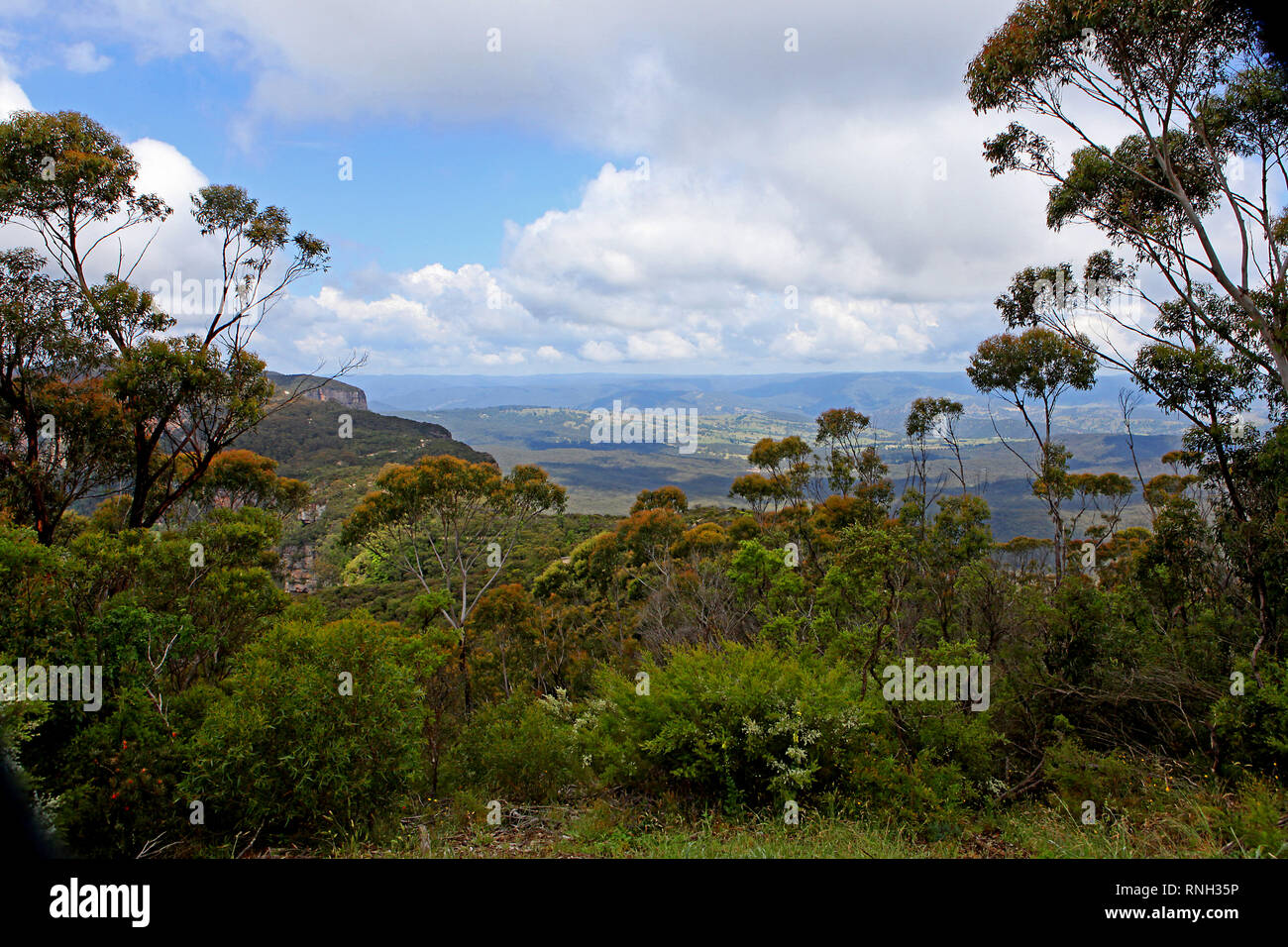 Visitare l'Australia. Scenic e paesaggi di Australia. Il Blue Mountains sono una regione montagnosa e una gamma di montagna situato nel Nuovo Galles del Sud. Foto Stock