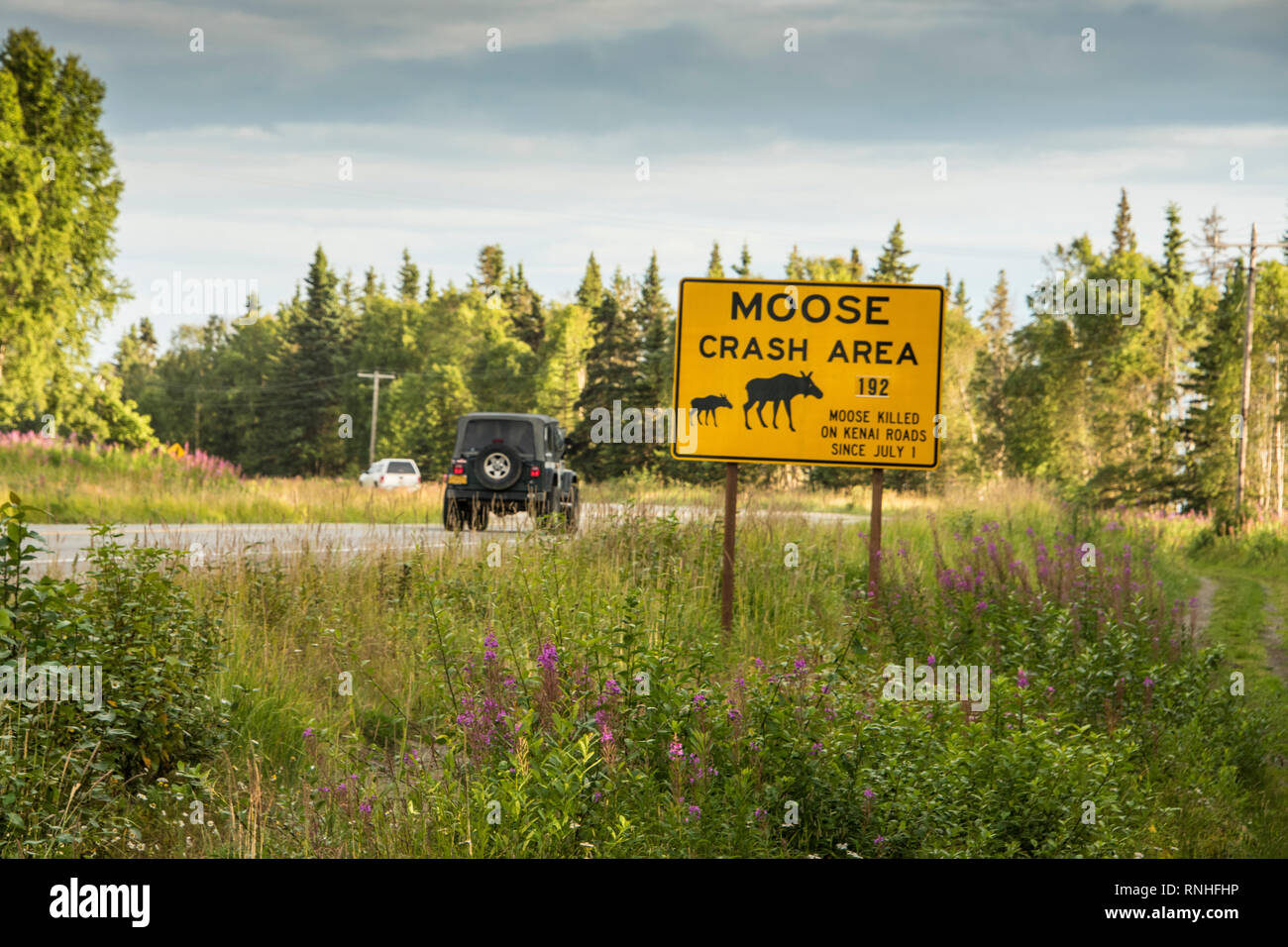 Alci Area Crash segno avverte gli automobilisti di prestare attenzione quando si guida in questo settore sulla Penisola di Kenai vicino a Soldotna, Alaska, Stati Uniti d'America, America del Nord Foto Stock