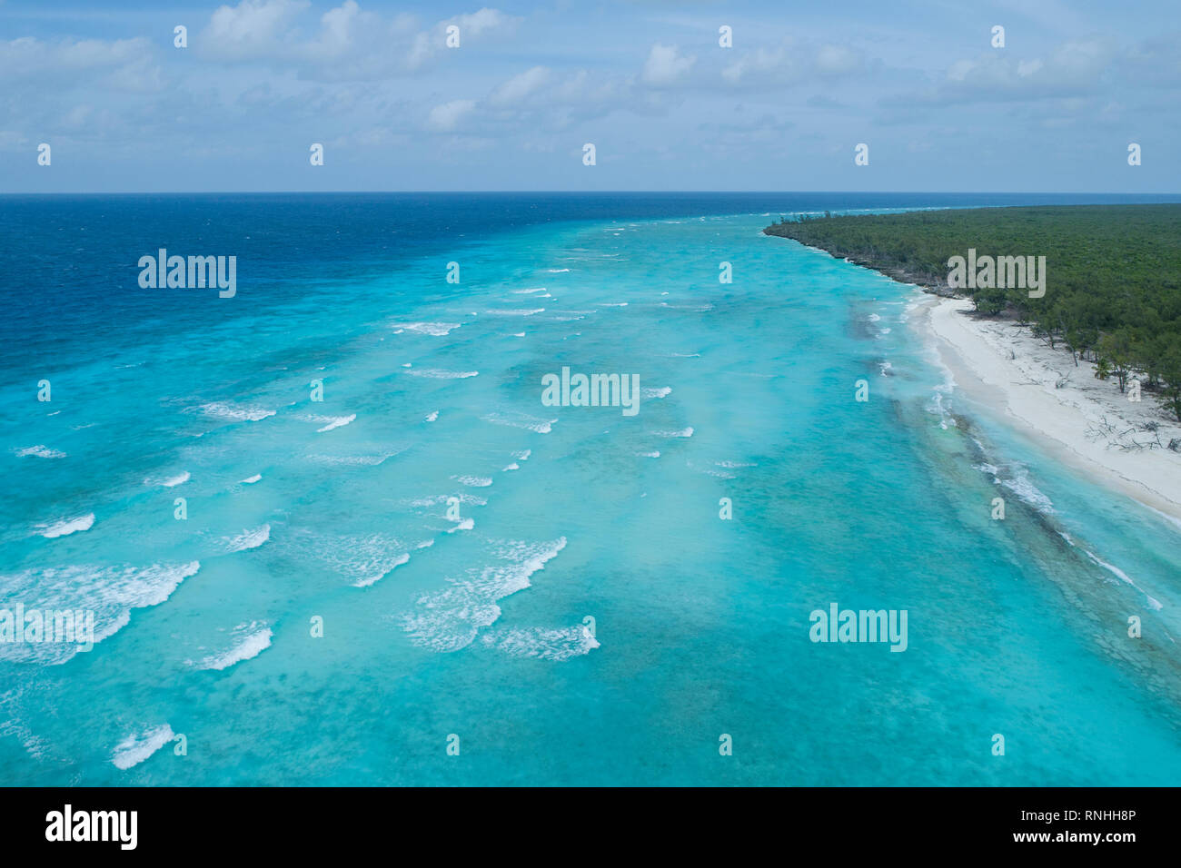 Antenna di Aldabra Atoll, Seicelle Foto Stock