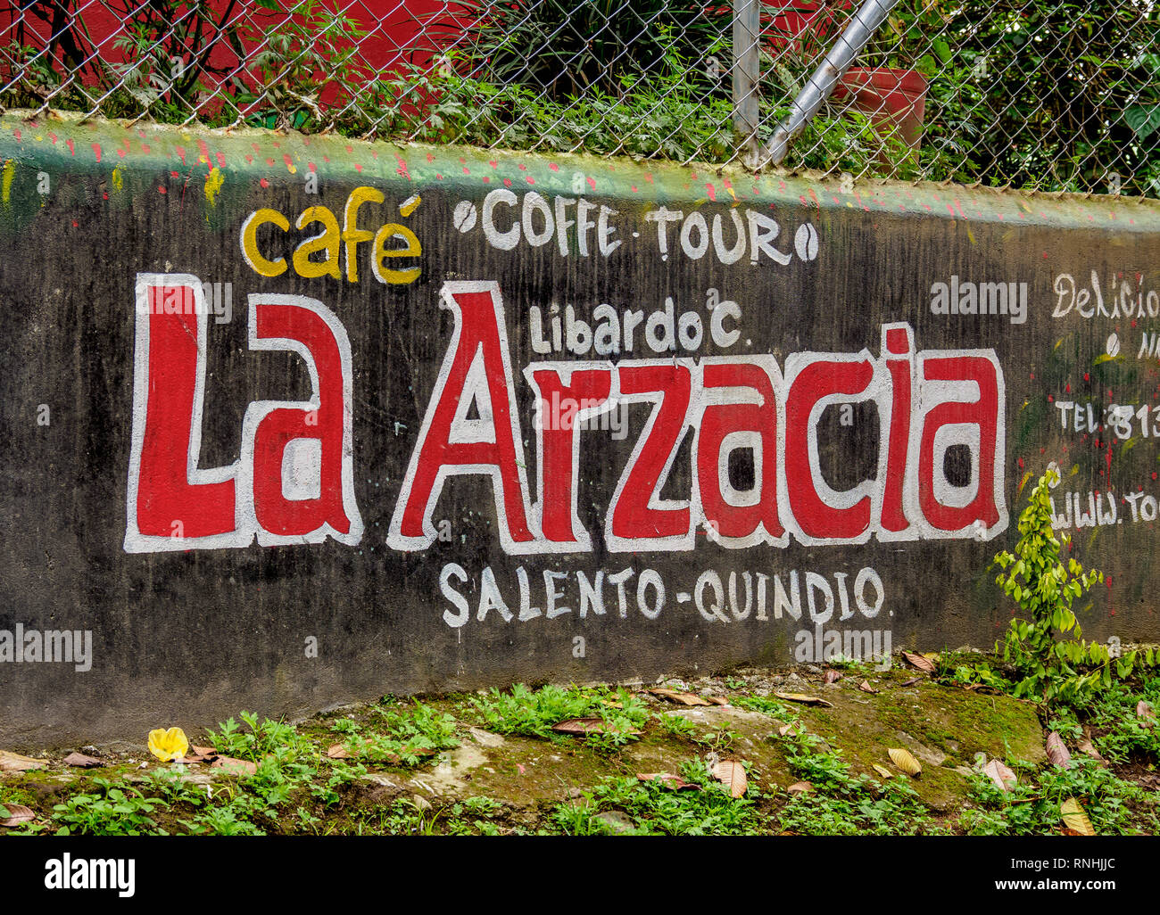 La Arzacia piantagione di caffè, il Salento, dipartimento di Quindio, Colombia Foto Stock