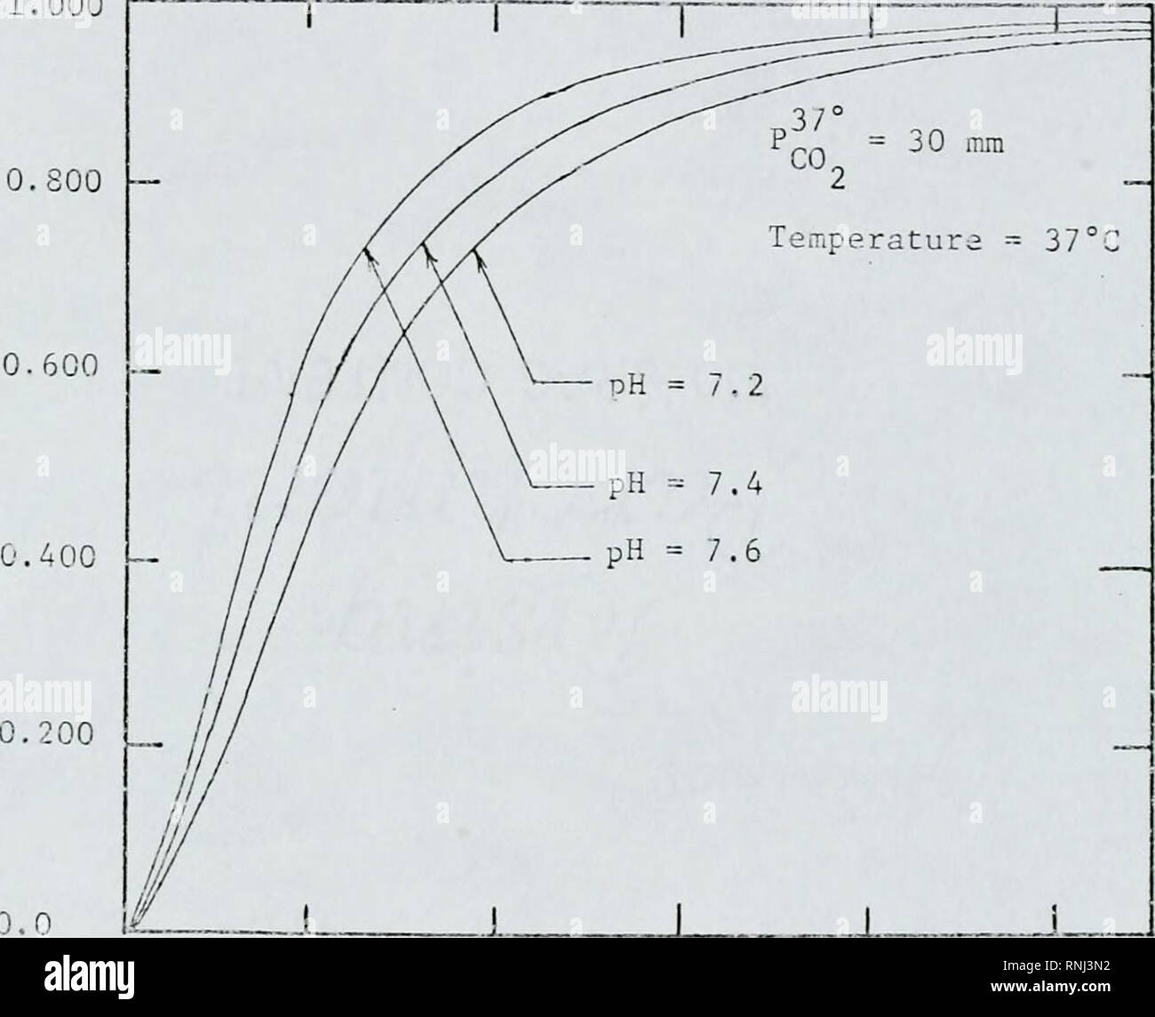 Connettore RCA, Connettore Audio Da 2 Pezzi In Rame Placcato Oro - Foto 9