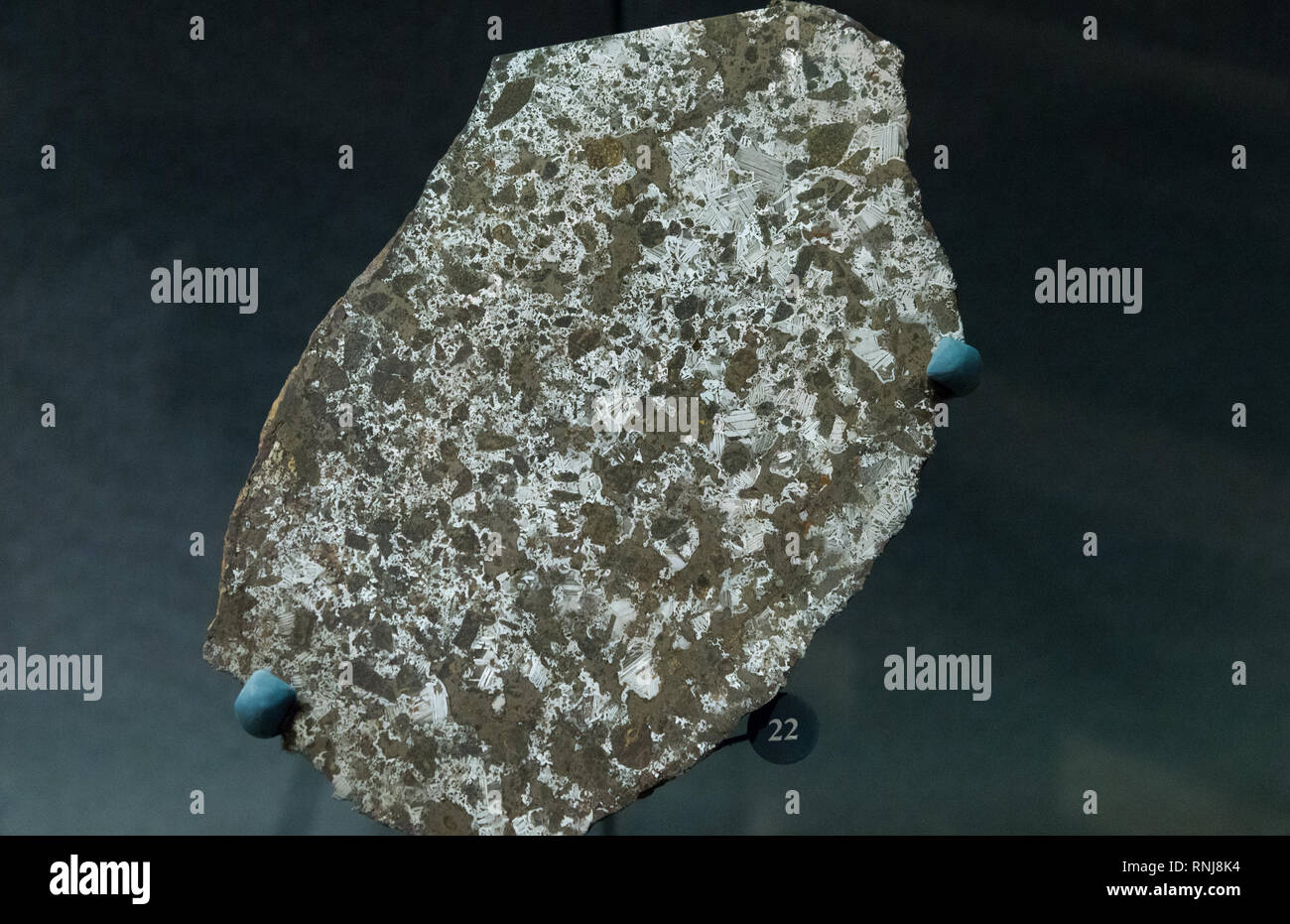 Sezione trasversale di una pietra a meteorite ferroso. Il Field Museum, Chicago, Illinois, Stati Uniti d'America. Foto Stock