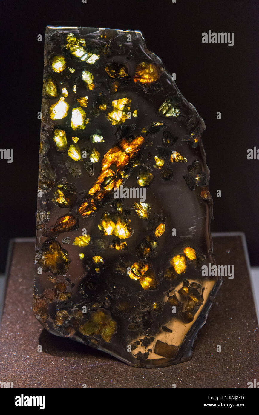 Sezione lucidata di un suolo pietroso-iron meteorite Pallasite, con dorata minerali cristalli di olivina. Il Field Museum, Chicago, Illinois, Stati Uniti d'America. Foto Stock