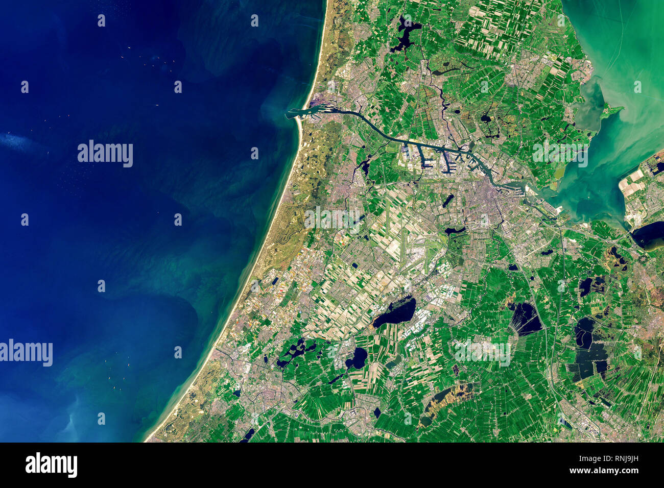 Vista aerea dei Paesi Bassi e della costa che mostra i campi della lampadina, agricoltura e mare, Olanda, Europa Foto Stock