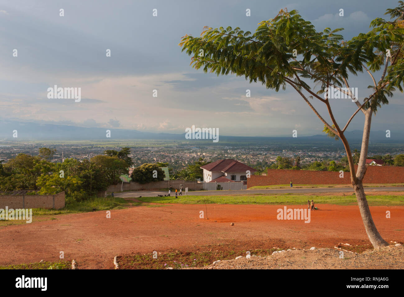 Tree si affaccia su Bujumbura Foto Stock