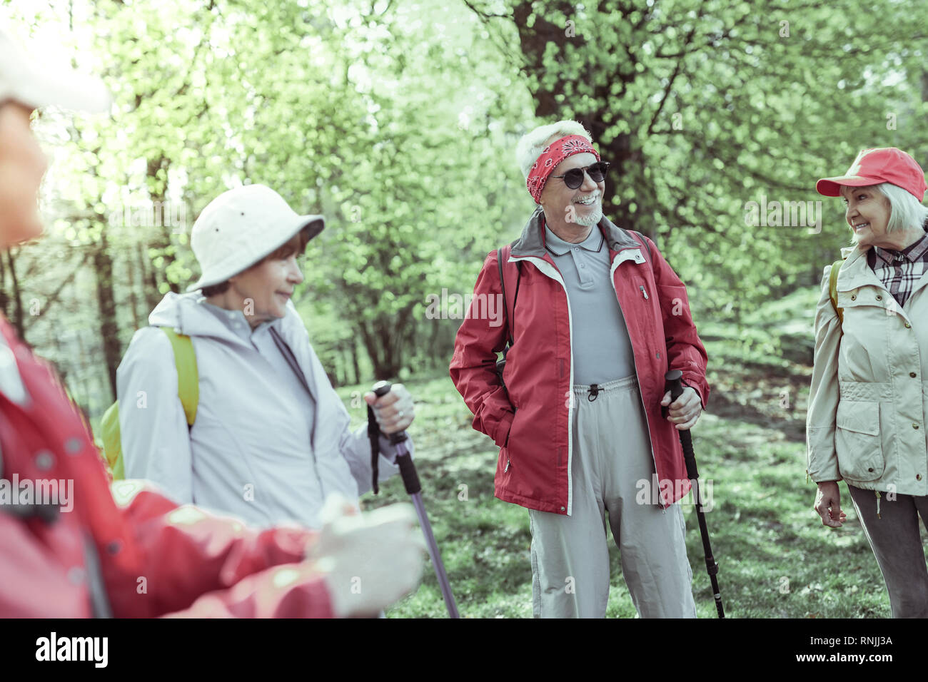 Gruppo di persone anziane a piedi nella foresta Foto Stock
