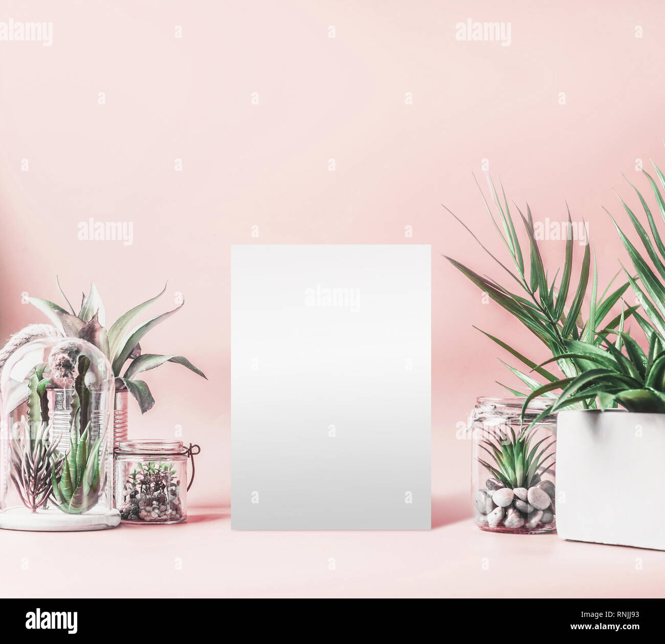 Vuoto foglio bianco mock up e green house di piante in vaso, vetro terrario e vasi sul tavolo al rosa pastello sfondo. Varie piante succulente e cactus pl Foto Stock