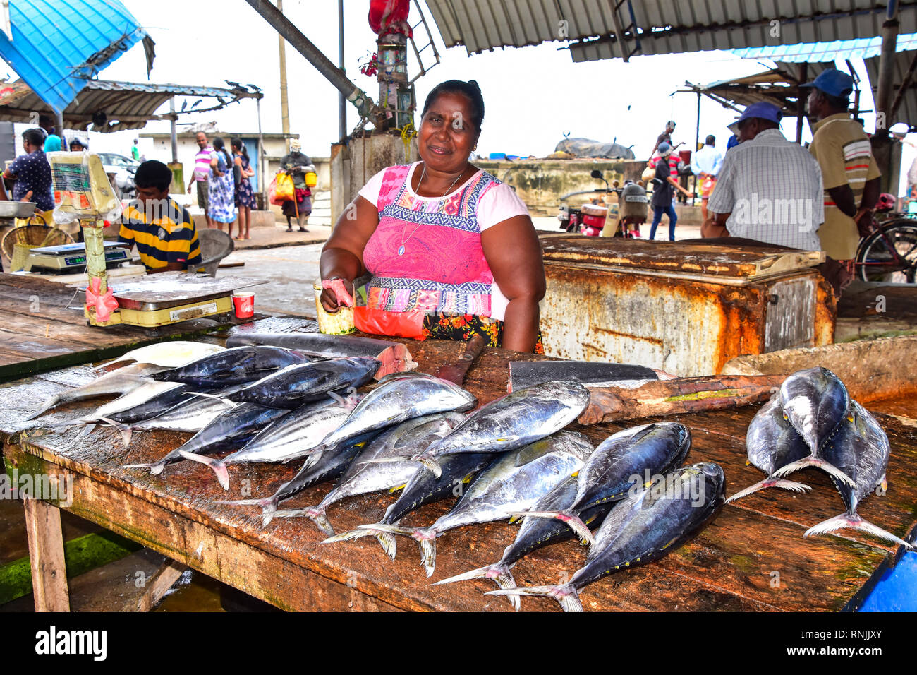 Il governo dello Sri Lanka donna in stallo a Negombo Mercato del Pesce, Negombo, Sri Lanka Foto Stock