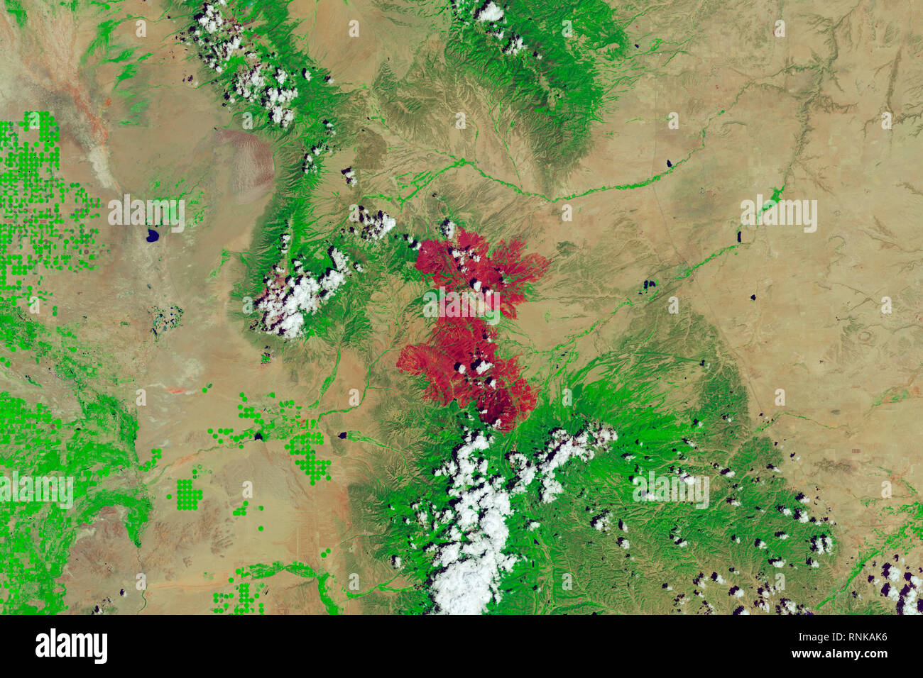 Il 27 giugno 2018, un campfire illegale ha causato la terza grande wildfire in Colorado la storia dello stato conosciuto come il Spring Creek Fire. Secondo notizie r Foto Stock