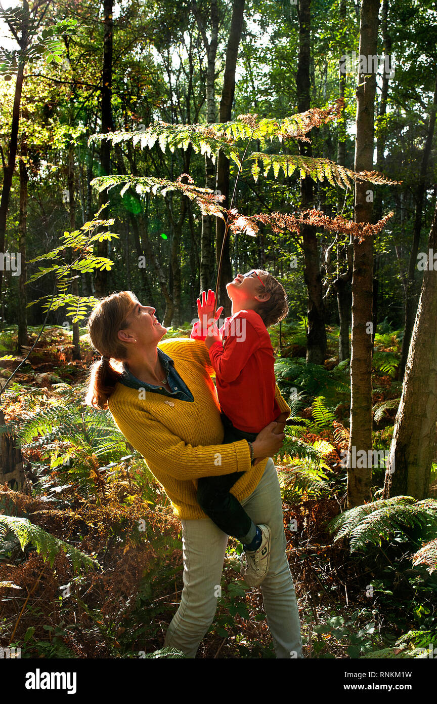 Madre e figlio in un sottobosco della foresta demaniale di Raismes-Saint-Amand-Wallers, riserva naturale dell'Scarpe-Escaut natura regionale par Foto Stock