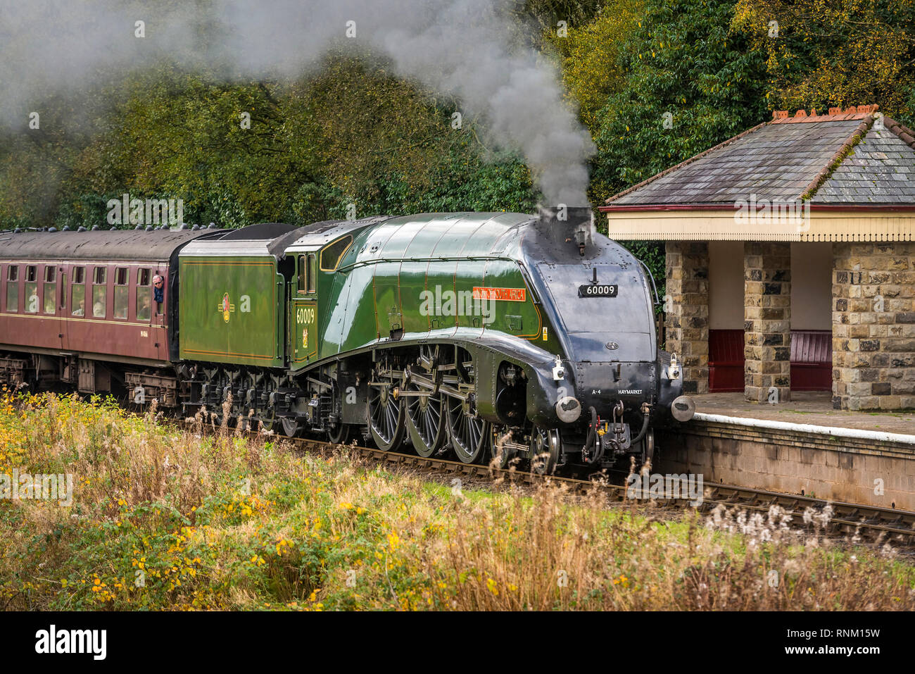 L'A4 dominio del Pacifico del Sud Africa a Irwell Vale fermare. La East Lancashire Railway autunno gala vapore Ott 2014. Foto Stock