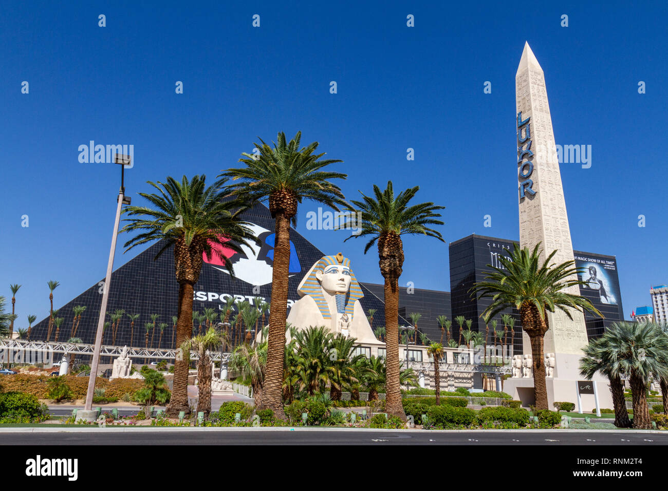 La sfinge e obelisco al di fuori del Hotel Luxor, Las Vegas (Città di Las Vegas, Nevada, Stati Uniti. Foto Stock